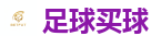 足球网上下注_2026美加墨世界杯官网投注平台
